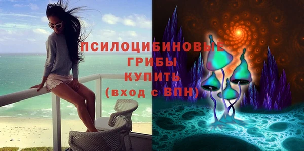 spice Горно-Алтайск