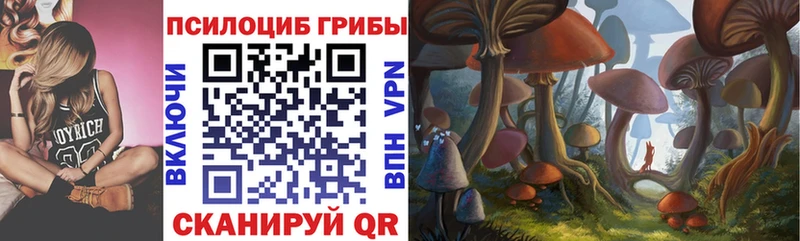 Галлюциногенные грибы мицелий  площадка телеграм  Пушкино  omg сайт 